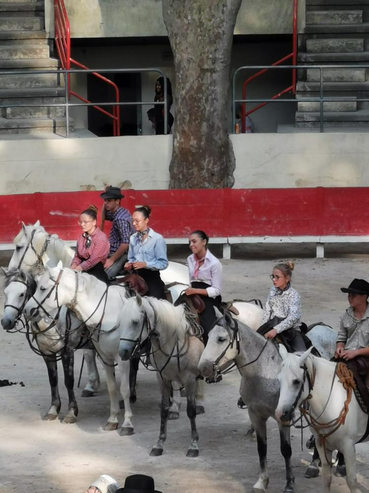 chevaux