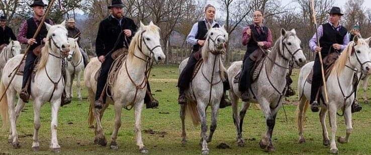 chevaux