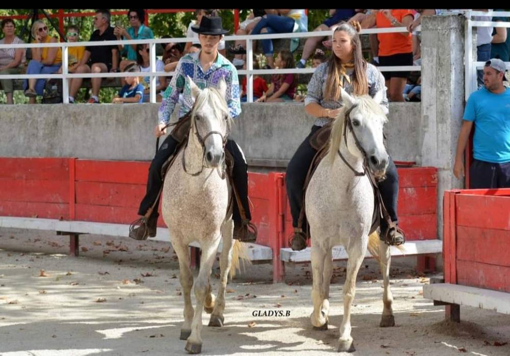 chevaux